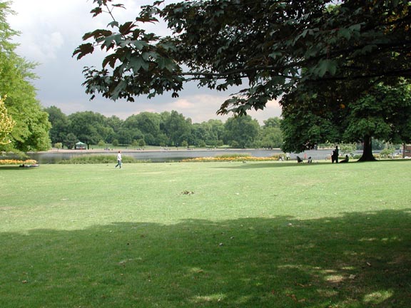 Approaching the Serpentine