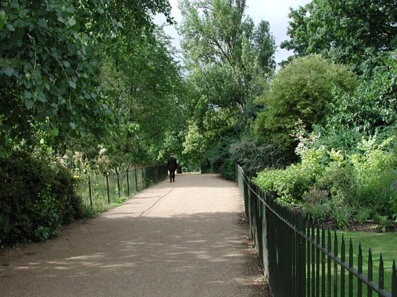 towards the serpentine