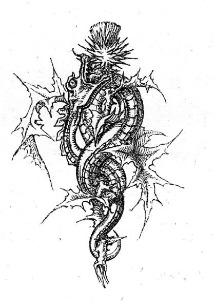 [serpent et chardon]