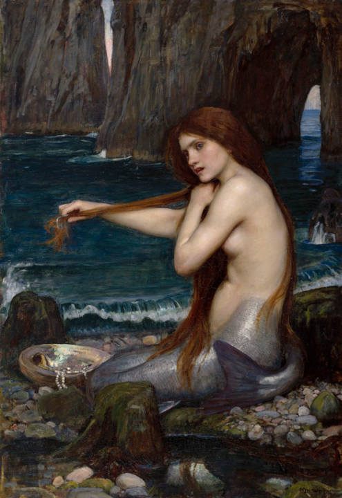 The Mermaid