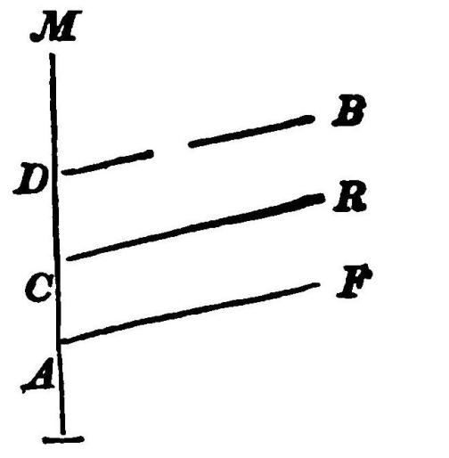 Diagram of Fetal Gestation and Development